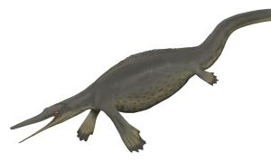 An incredibly dumb looking hupehsuchian, Nanchangosaurus (a close relative to Parahupehsuchus). 